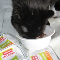 photo de livraison pour Jardin des Chats