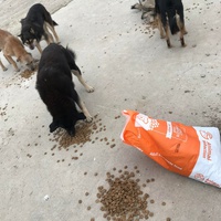 photo de livraison pour Anca Timpeanu