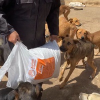 photo de livraison pour Le Coeur sur la Patte