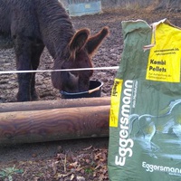 photo de livraison pour Chevaux Murmurent