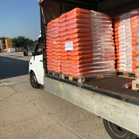 photo de livraison pour Anca Timpeanu