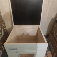 photo de livraison pour Socialisation Féline