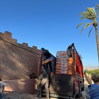 photo de livraison pour Le Coeur sur la Patte