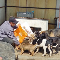 photo de livraison pour Associtia Axi Hope Romania