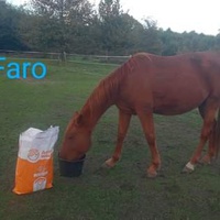 photo de livraison pour Arche et Relais