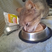 photo de livraison pour Les Pattes de l'Espoir 