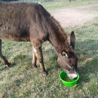 photo de livraison pour ADADA