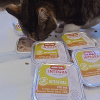 photo de livraison pour Stérilcat 80