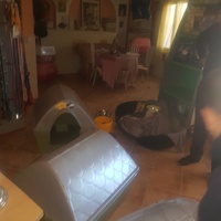 photo de livraison pour SOS Animaux Tunisie