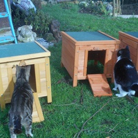 photo de livraison pour Au Paradis Des Chats