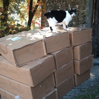 photo de livraison pour Catmondou