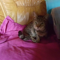 photo de livraison pour Amis de Myrtille