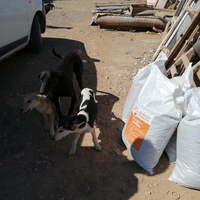 photo de livraison pour ADAN Essaouira