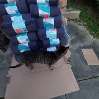 photo de livraison pour Les Amis de Michouette