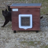 photo de livraison pour URGENCE AIDE ANIMAUX