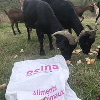 photo de livraison pour Espoir au Galop