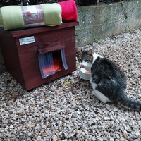 photo de livraison pour Clan du chat libre