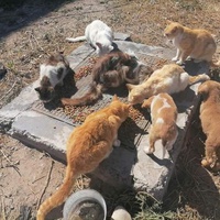 photo de livraison pour ADAN Essaouira