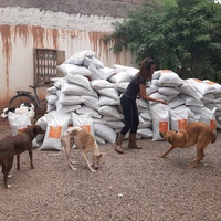 photo de livraison pour Help Adopt Moroccan Animals