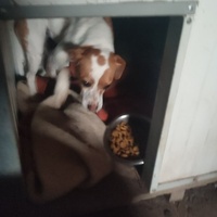 photo de livraison pour Ivana Nikolić