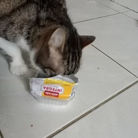 photo de livraison pour Cosette