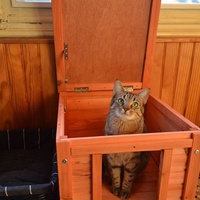 photo de livraison pour A.R.P.A Chats