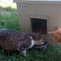 photo de livraison pour Ecole du Chat Libre de Caillerot