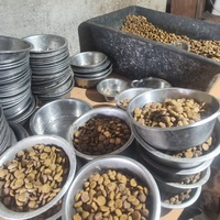 photo de livraison pour Svetlana Bjelogrlic