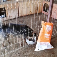 photo de livraison pour Sammelstelle für Tiere in Not e.V.