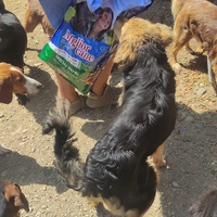 photo de livraison pour SPAS