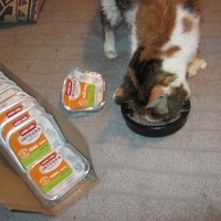 photo de livraison pour Au Bonheur des Chats Libres