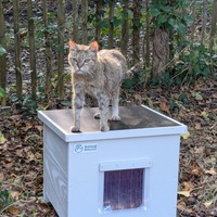 photo de livraison pour Adoption Féline Estuaire