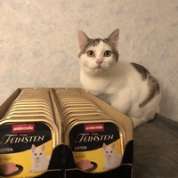 photo de livraison pour Les Félins de la Semoy