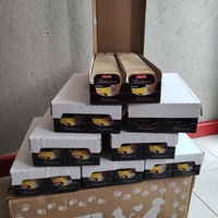 photo de livraison pour Marlychats sans toit