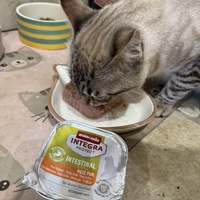 photo de livraison pour Cosa Animalia