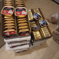 photo de livraison pour Protect Cat