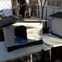 photo de livraison pour Chats Libres de Béziers