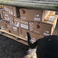 photo de livraison pour Espoir au Galop