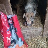 photo de livraison pour Samira Gagula