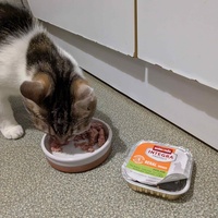 photo de livraison pour Adoption Féline Estuaire