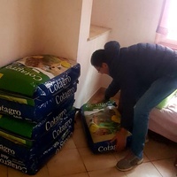 photo de livraison pour SOS Animaux Tunisie