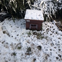 photo de livraison pour Sweety Pets