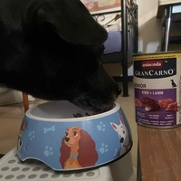 photo de livraison pour AVRAH