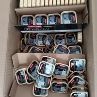 photo de livraison pour Les félins de la petite Venise