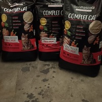 photo de livraison pour Castel Cats