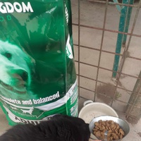 photo de livraison pour Udruženje za zaštitu životinja "Pongo"