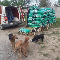 photo de livraison pour Udruzenje za Zastitu Zivotinja Srecko, Valjevo