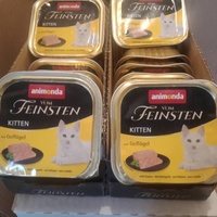 photo de livraison pour Les Chats-Pitresdelavi-Ste