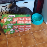 photo de livraison pour L'Arche de la Gazelle