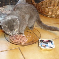 photo de livraison pour Protection Animale Berroise